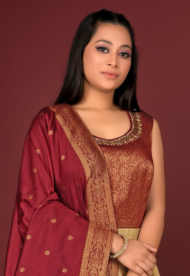 Chiku Banarasi Silk Gown