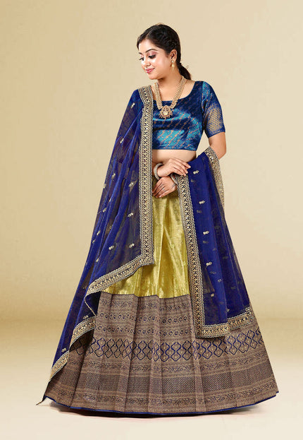 Blue Kanchipuram Silk Lehenga