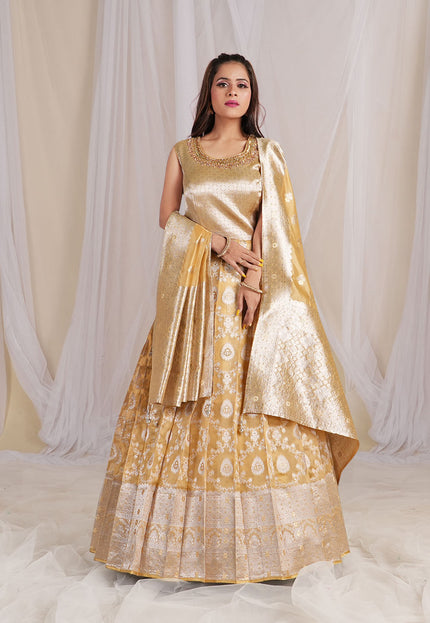 Chiku Banarasi Silk Gown