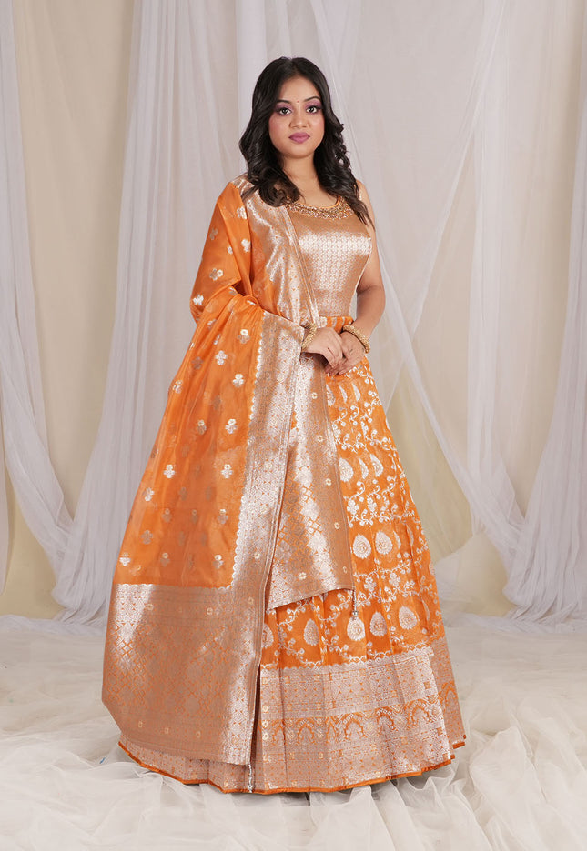 Gold Banarasi Silk Gown