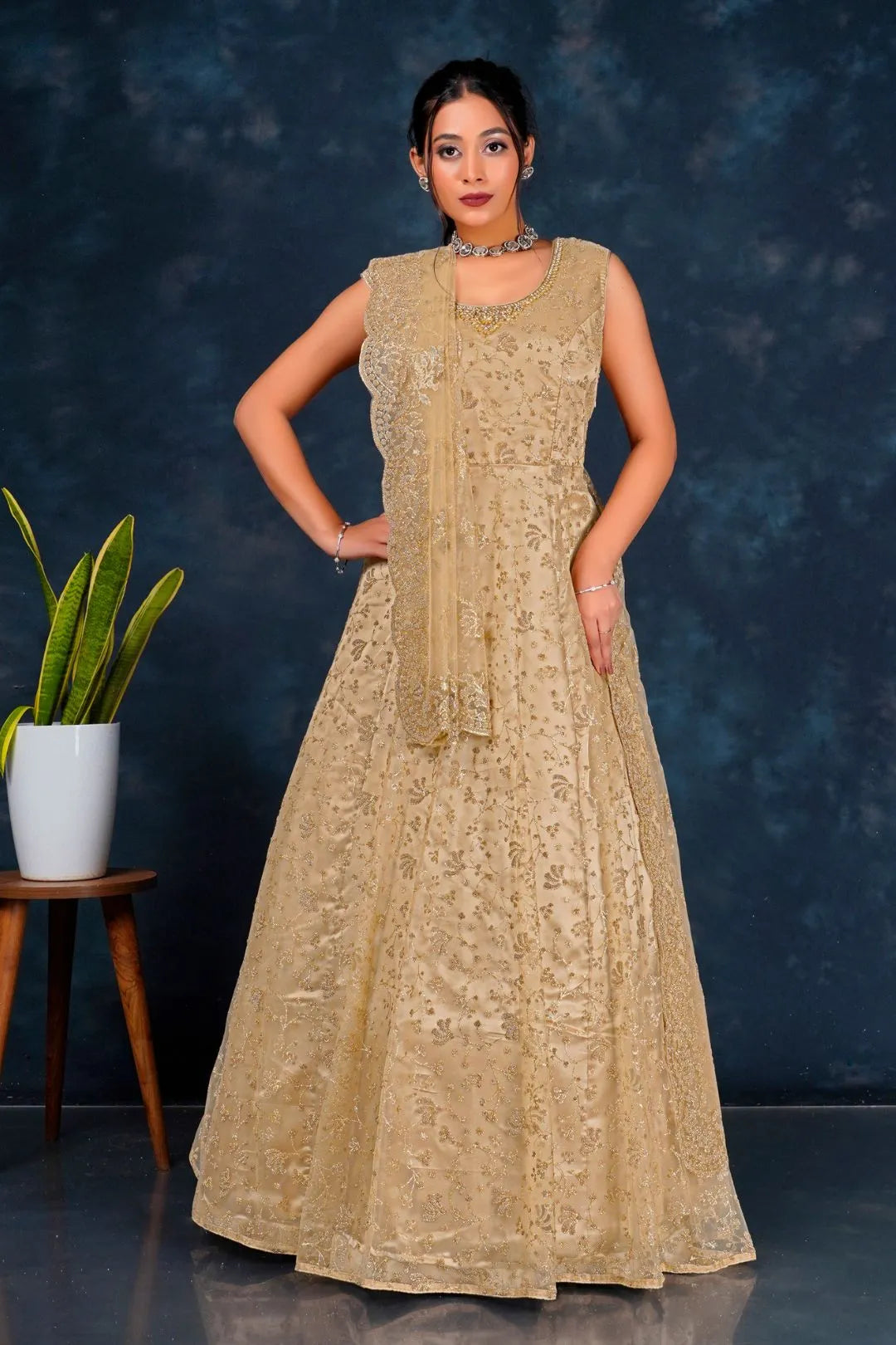 Beige Colour Party Wear Net Gown For Women