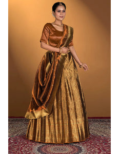 Brown Pure Two Tone Zari Tissue Lehenga Choli