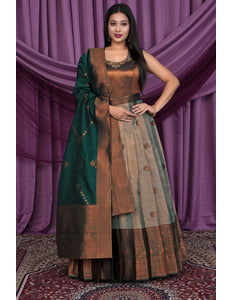 Chiku Designer Banarasi Gown With Dupatta