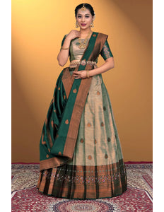 Chiku Banarasi Silk Lehenga Design For Women