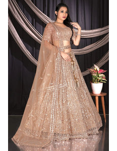 Chiku Colour Net Lehenga Choli Set For Women