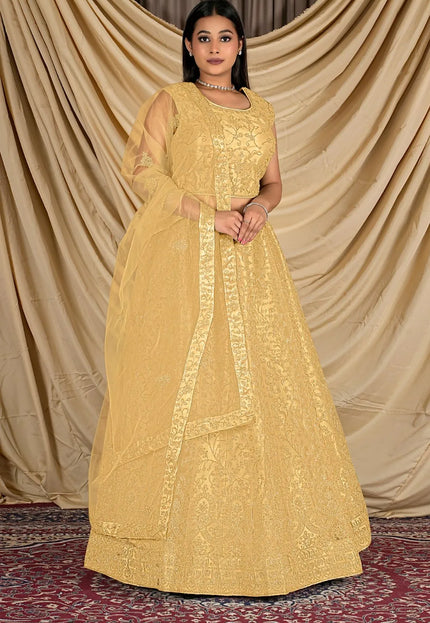 Chiku Crop Top Net Lehenga Choli For Women