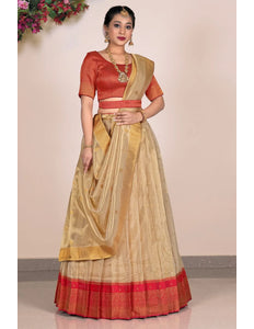 Chiku tissue Fabric Pattu Pavadai For Women