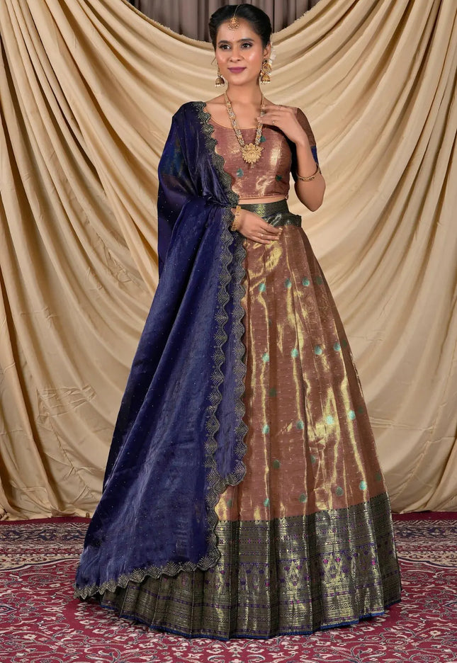 Woman wearing a traditional lehenga choli with a blue and brown pattern