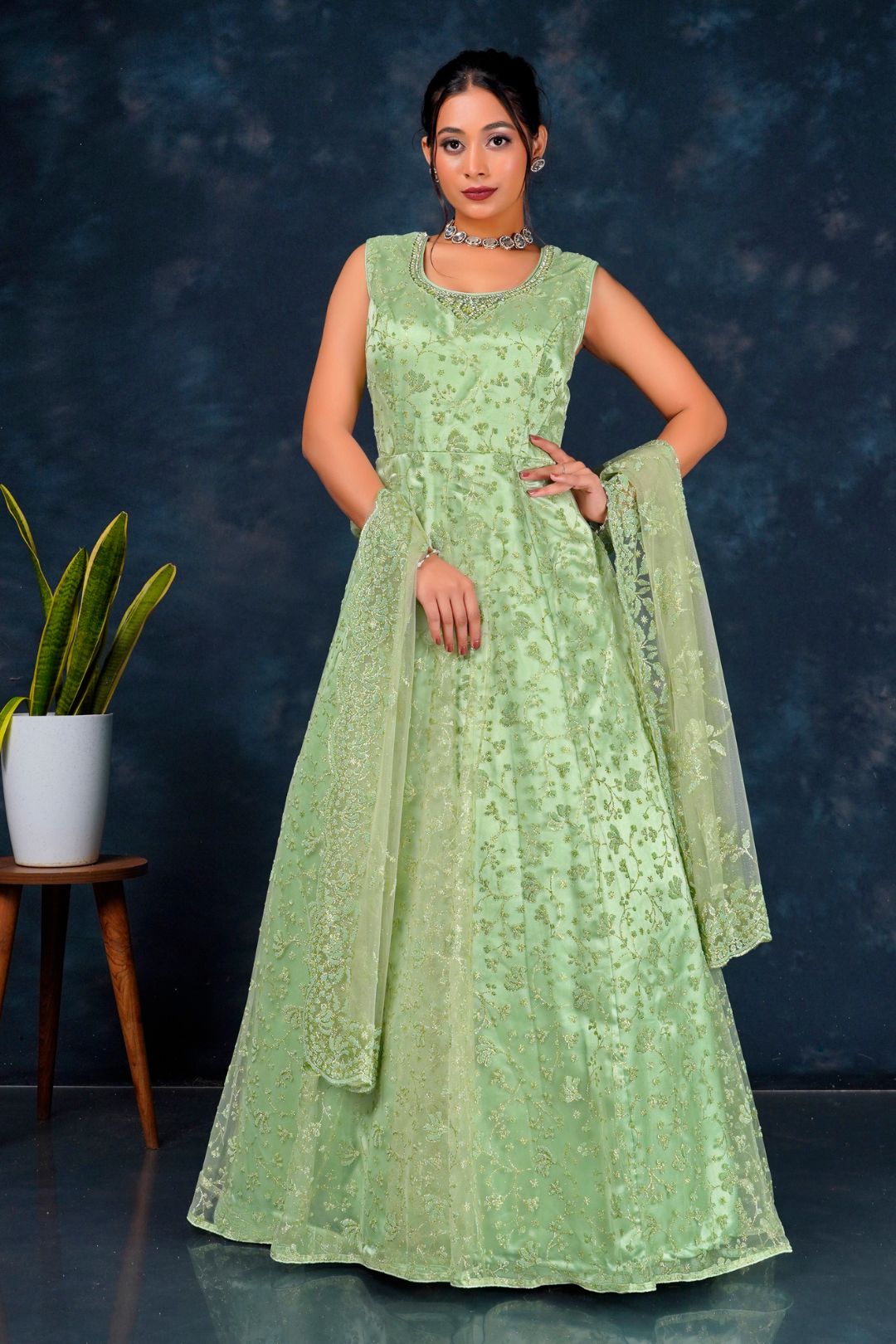 Woman wearing a light green traditional outfit, a Net Gown For Women