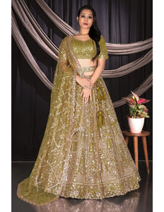 Mehendi Traditional Net Lehenga Choli With Dupatta