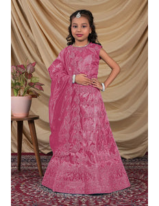 Rani Colour Kids Readymade Lehenga for Girls