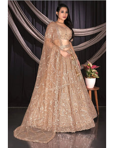 Chiku Party - wear Net Lehenga Choli For Wedding - Gajiwala