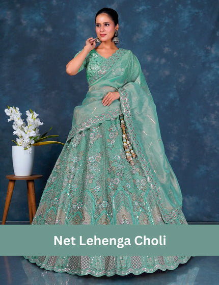 Net-Lehenga-Choli Gajiwala