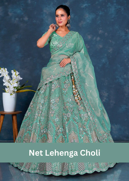 Net-Lehenga-Choli Gajiwala