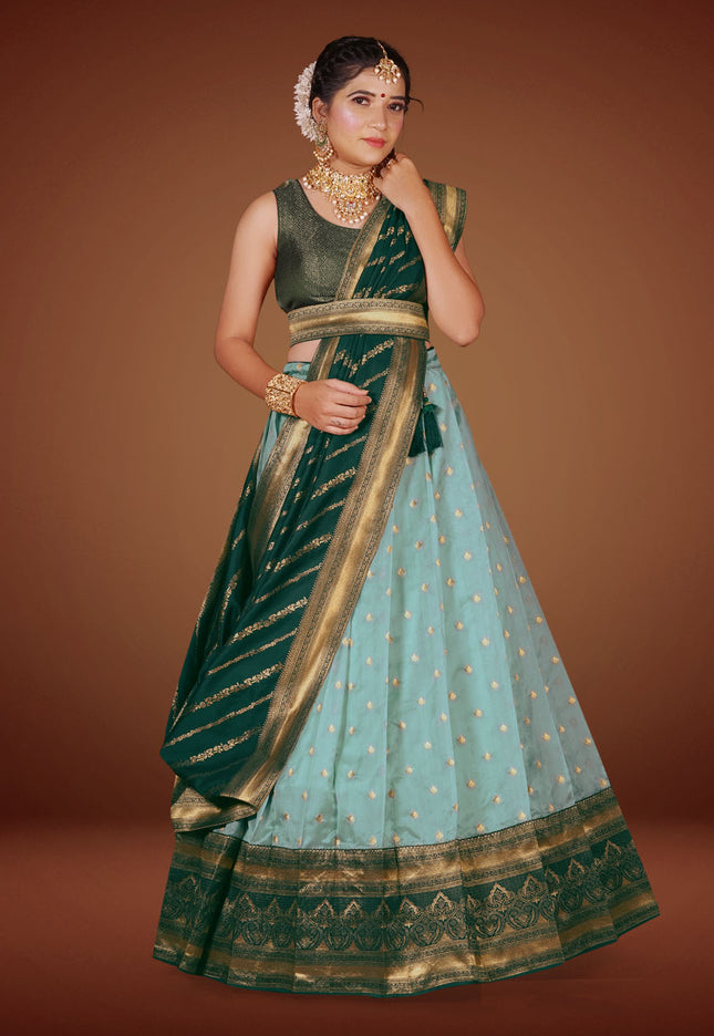 Sky Blue Banarasi Lehenga Choli