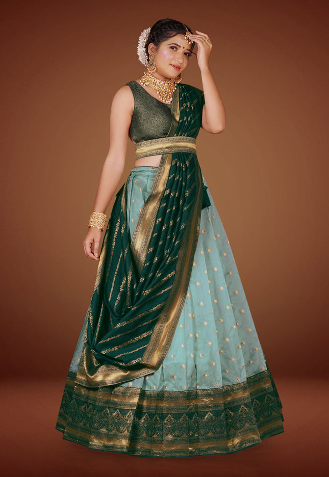 Sky Blue Banarasi Lehenga Choli