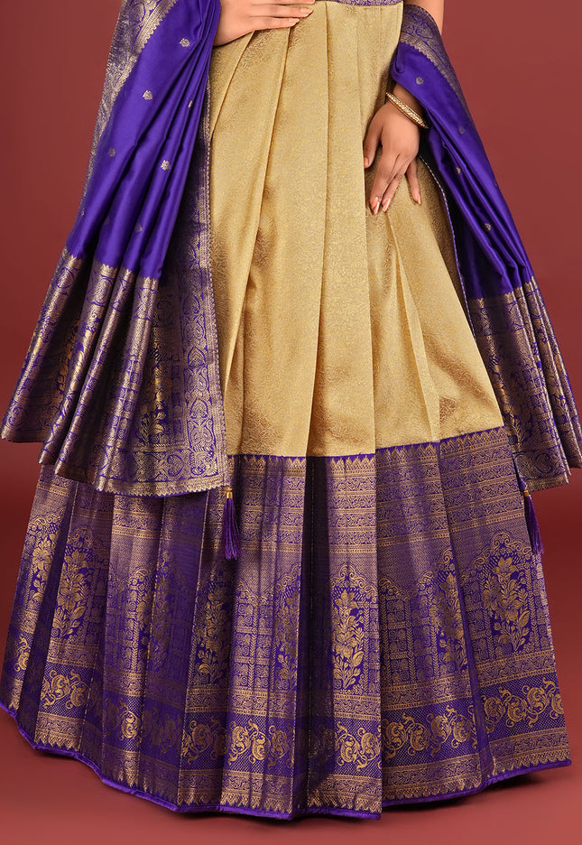 Chiku Designer Banarasi Gown