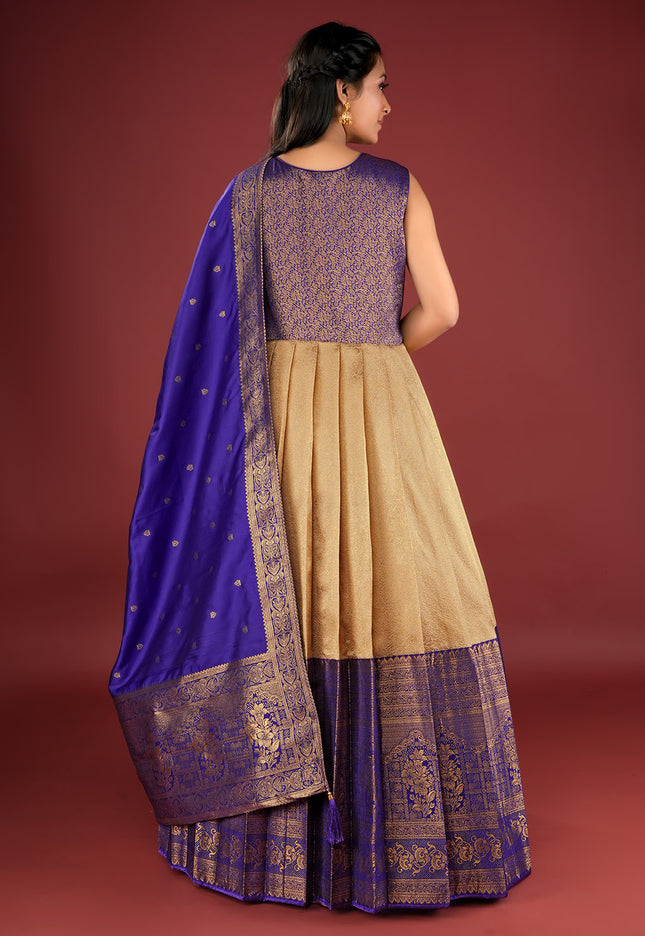 Chiku Designer Banarasi Gown