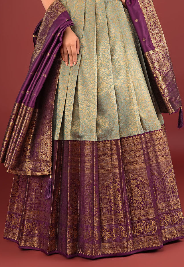Sky Blue Banarasi Gown