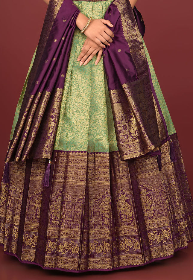 Light Green Designer Banarasi Gown With Dupatta
