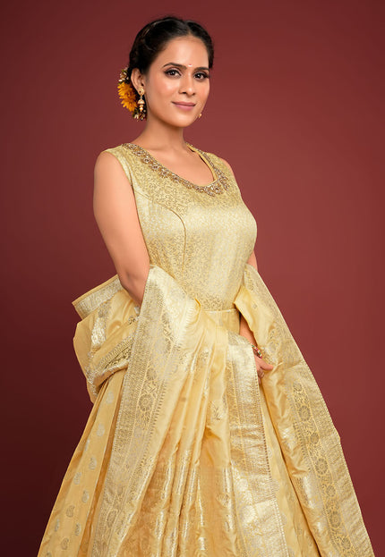 Yellow Banarasi Pattu Gown