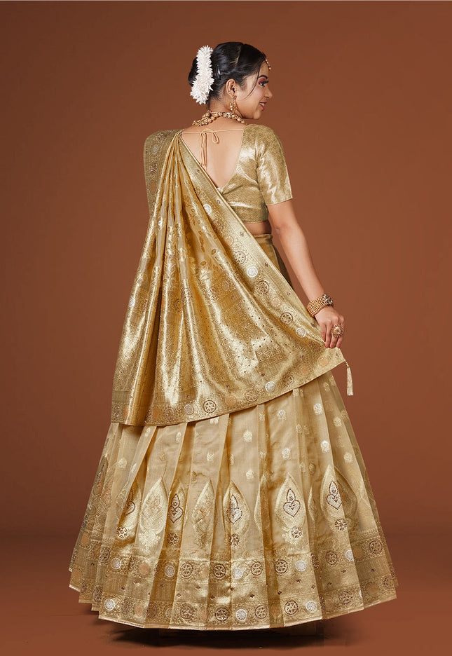 Chiku Banarasi Silk LehengaChiku Banarasi Silk Lehenga