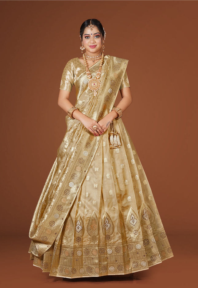 Chiku Banarasi Silk Lehenga