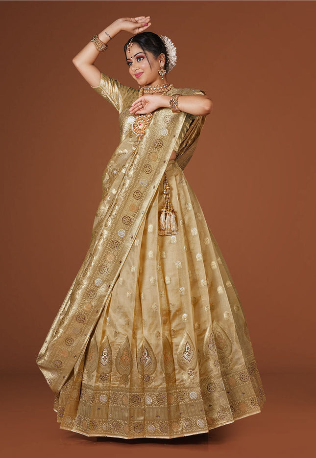Chiku Banarasi Silk Lehenga