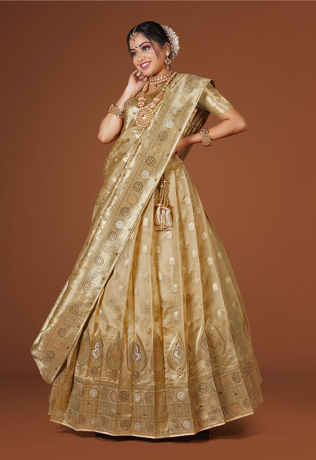 Chiku Banarasi Silk Lehenga
