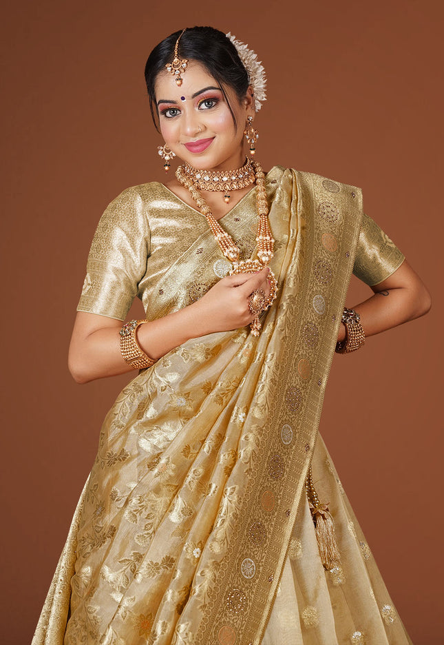 Chiku Banarasi Silk Lehenga