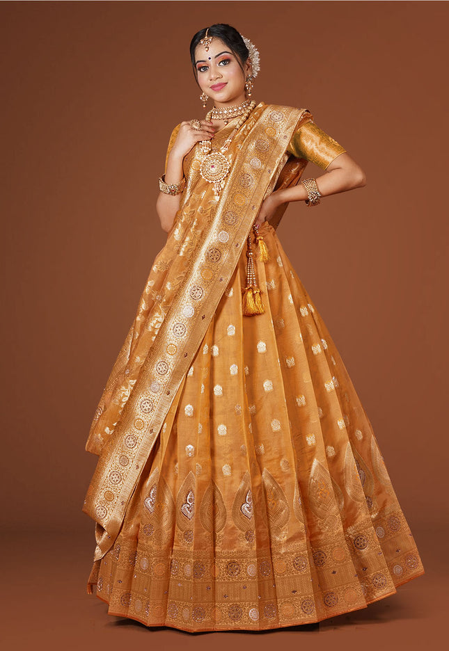 Orange Banarasi Silk Lehenga