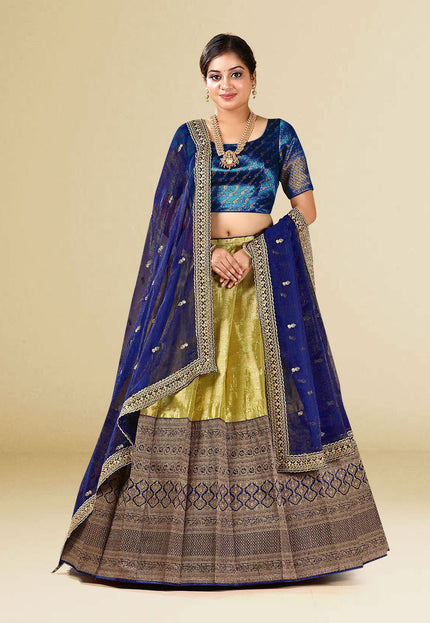 Blue Kanchipuram Silk Lehenga