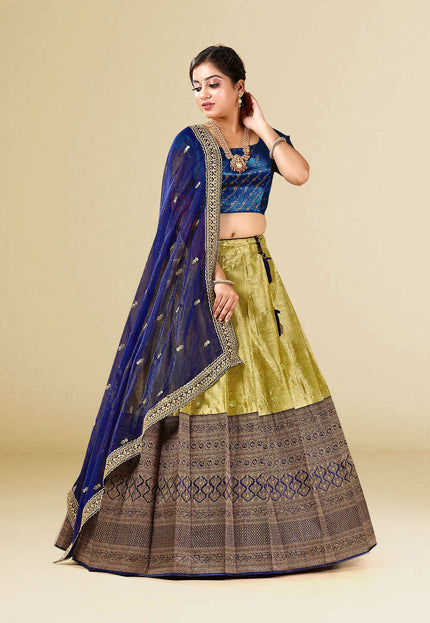 Blue Kanchipuram Silk Lehenga