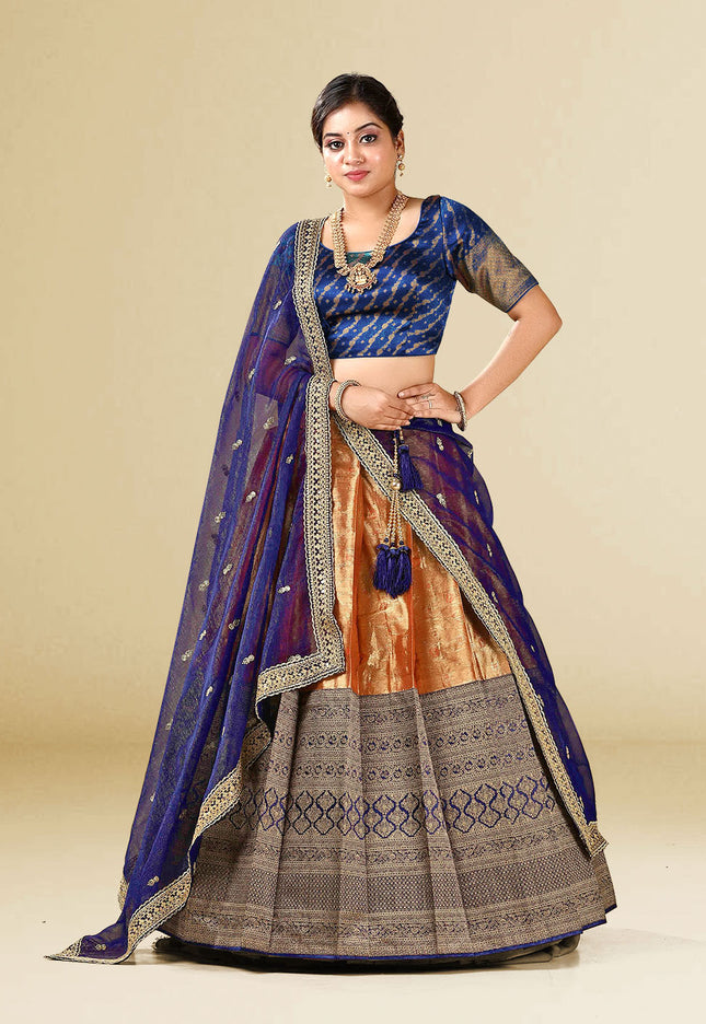 Navy Blue Kanchipuram Silk Lehenga