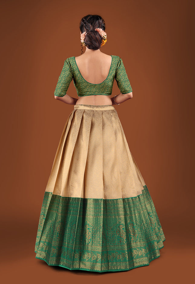 Chiku Kanjivaram Silk Half Saree