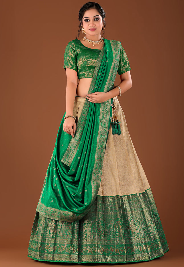 Chiku Kanjivaram Silk Half Saree