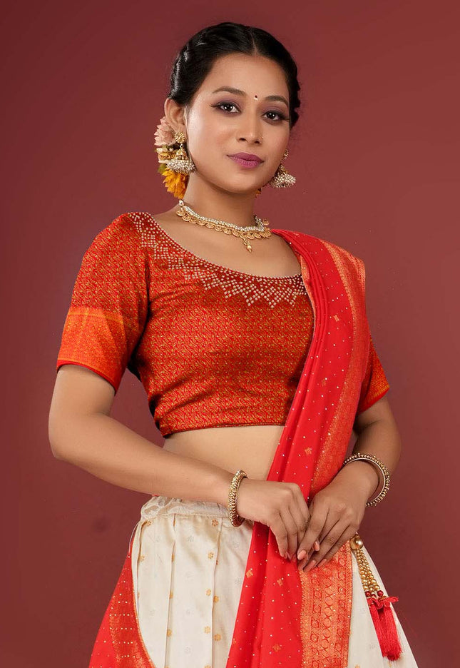 Chiku Banarasi Pattu Half Saree