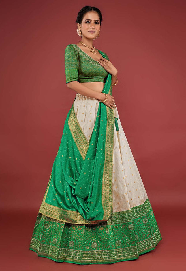 Chiku Banarasi Pattu Half Saree