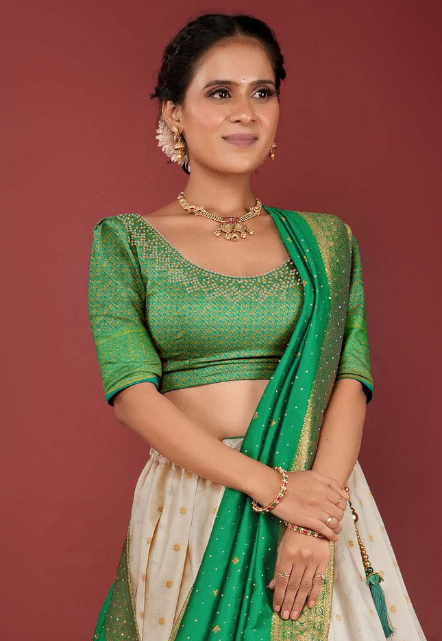 Chiku Banarasi Pattu Half Saree