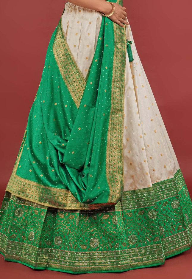 Chiku Banarasi Pattu Half Saree