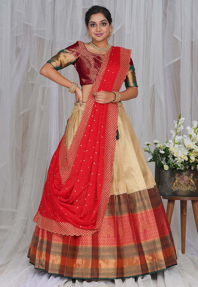 Chiku Kanjivaram silk Half Saree