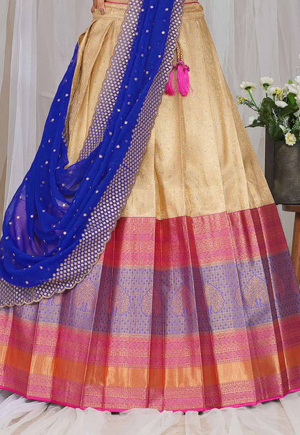 Chiku Kanjivaram silk Half Saree