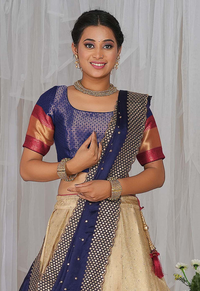 Chiku Kanjivaram silk Half Saree