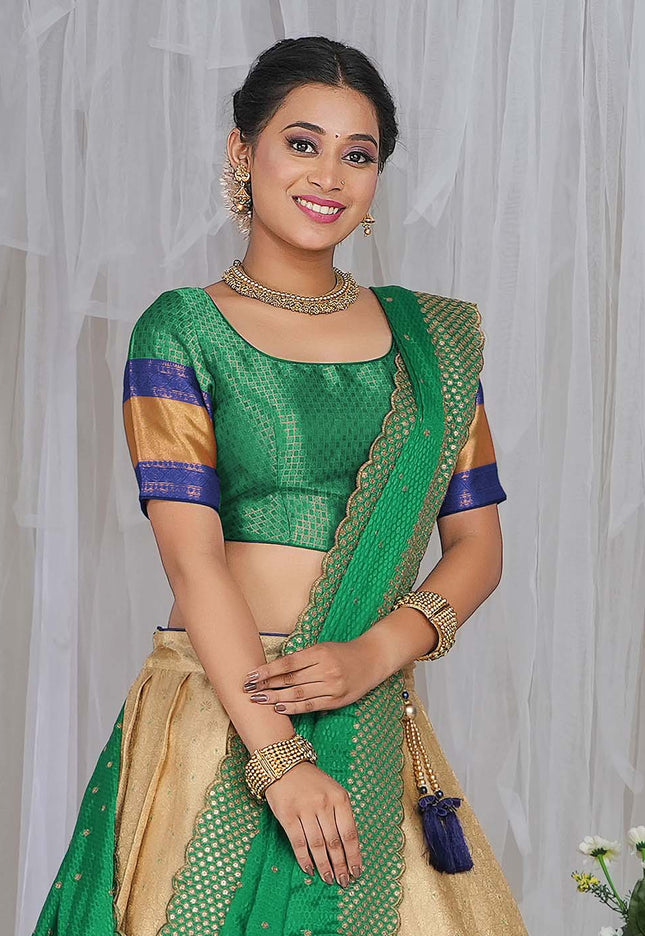 Chiku Kanjivaram silk Half Saree
