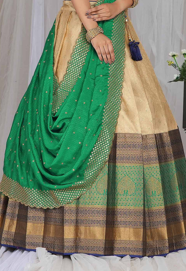 Chiku Kanjivaram silk Half Saree