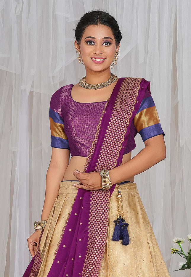 Chiku Kanjivaram silk Half Saree