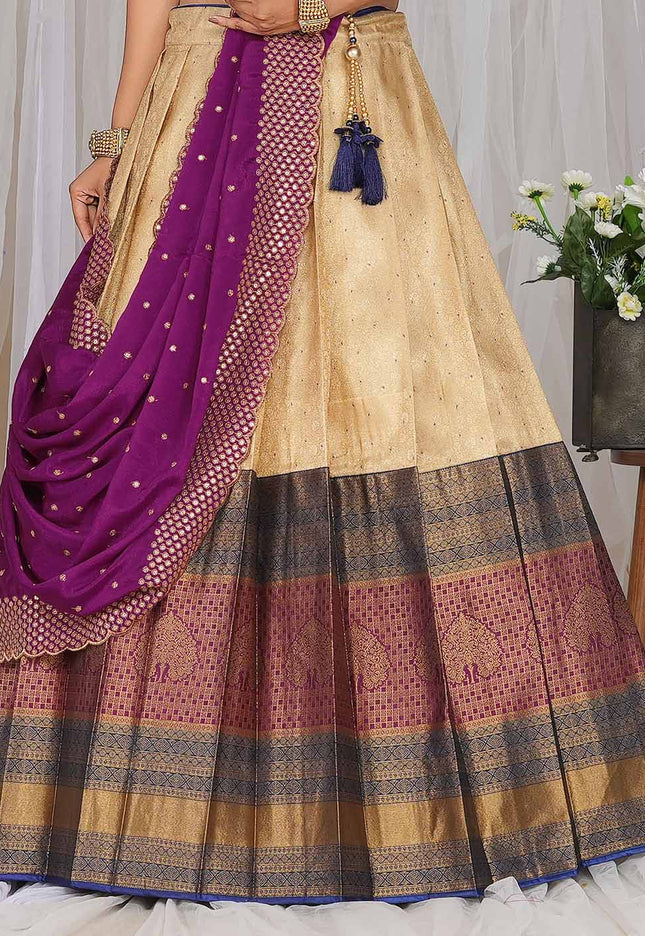 Chiku Kanjivaram silk Half Saree