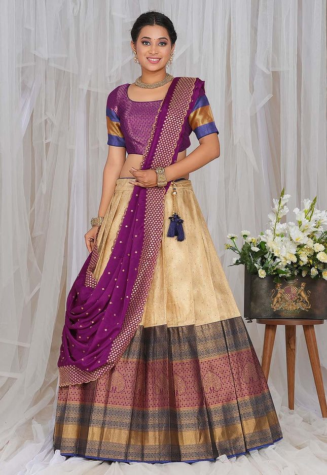Chiku Kanjivaram silk Half Saree