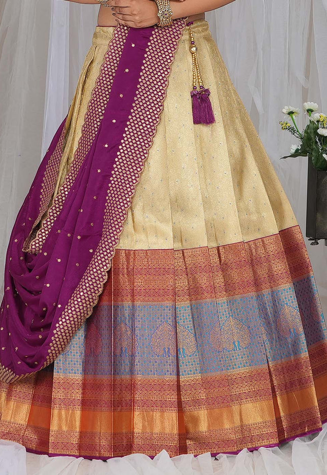 Chiku Kanjivaram silk Half Saree