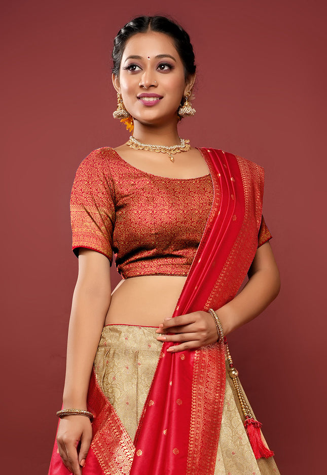 Red Kanjivaram Pattu Half Saree
